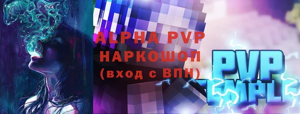 индика Абаза