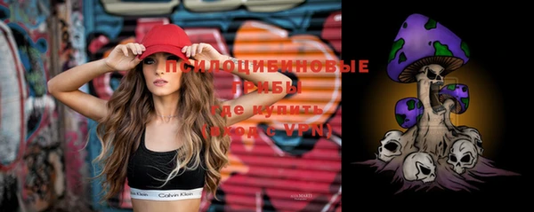 молекула духа Абинск