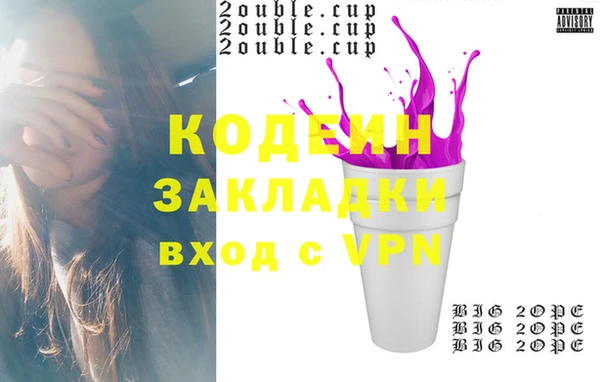 индика Абаза