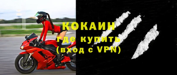 индика Абаза