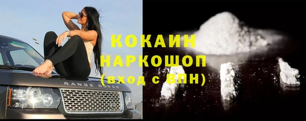 индика Абаза