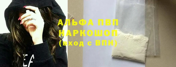 индика Абаза