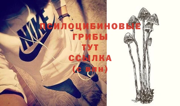 молекула духа Абинск