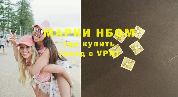 индика Абаза