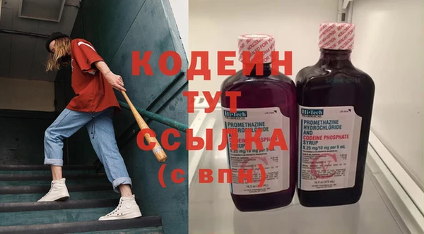 индика Абаза