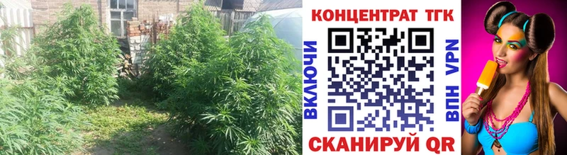 как найти закладки Ялта Дистиллят ТГК жижа